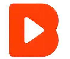 VideoBuddy